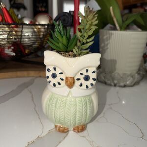 Ceramic Owl Planter with Faux Succulents - Cute Animal Home Decor New w/out Box